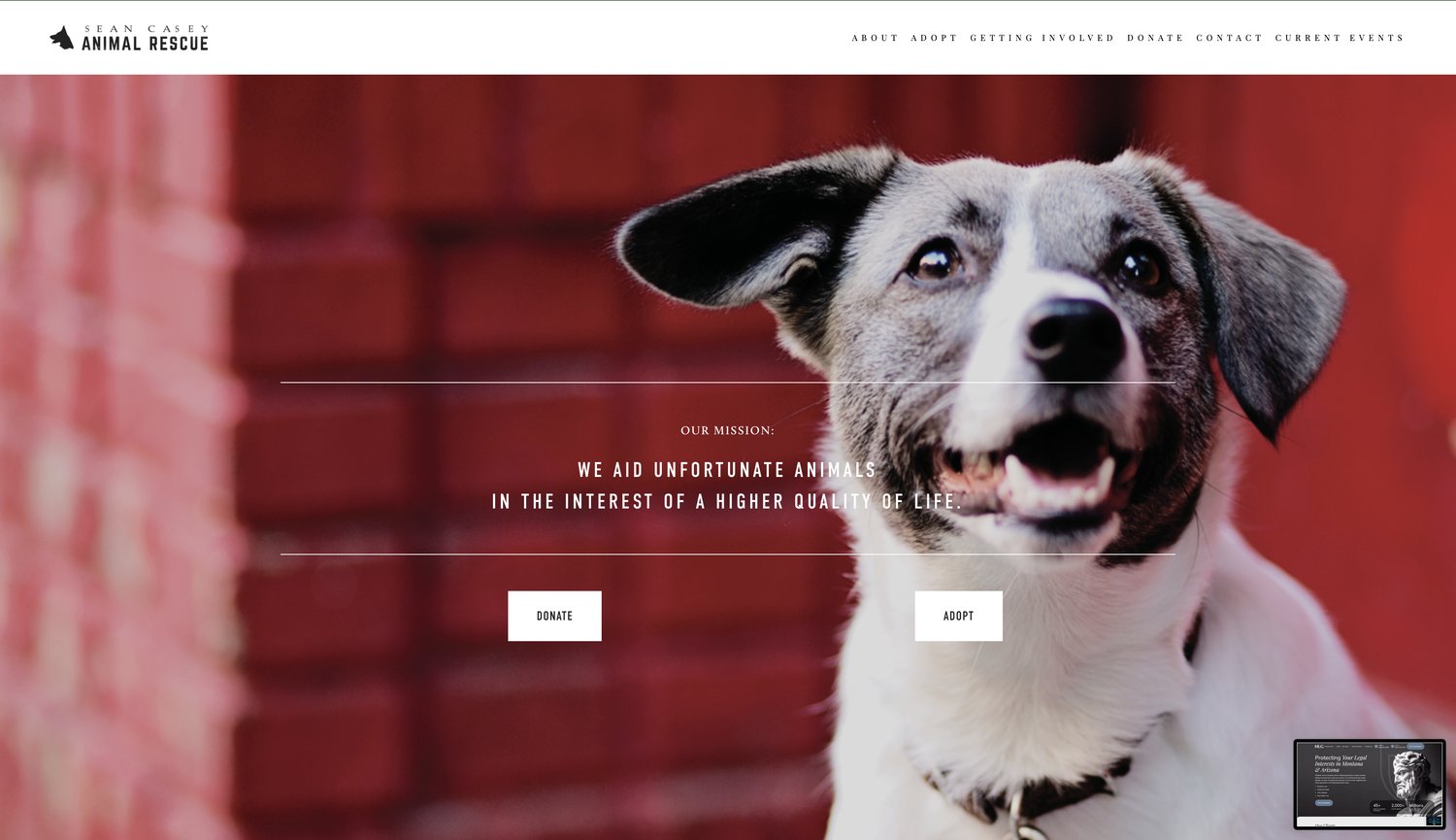 Sean Casey Animal Rescue homepage